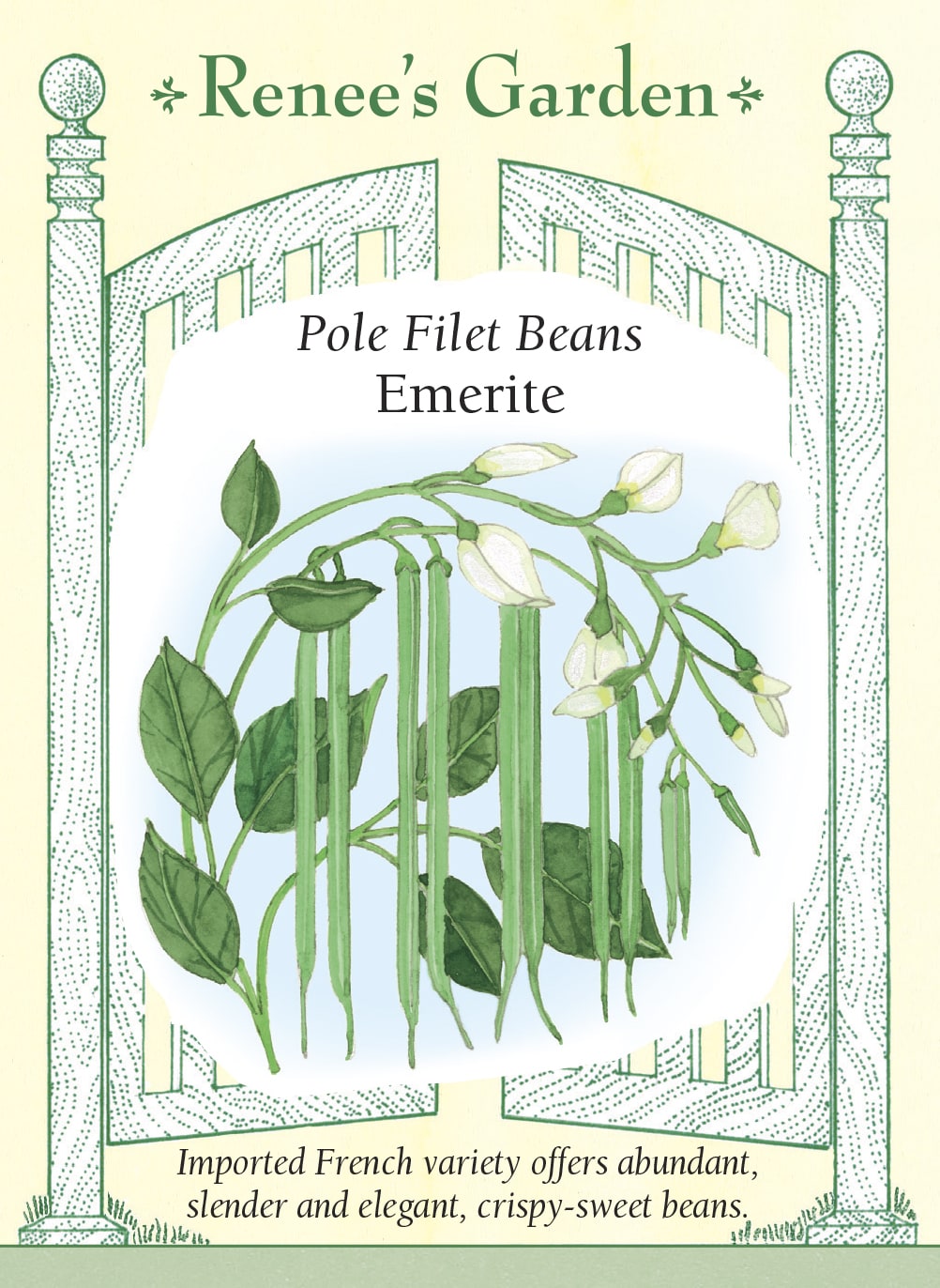 Visuel officiel de Renee's Garden pour les semences « Haricot grimpant ‘Emerite’ », référence RN5933. Cette variété française de type filet donne des gousses minces et arrondies, longues d’environ 18 à 23 cm (7 à 9 po). Les tiges grimpantes sont vigoureuses. Les haricots offrent une texture croquante et une saveur douce, adaptées à une cuisson courte à la vapeur ou à la poêle. Une récolte attentive permet de choisir des gousses encore fines, avant que les grains ne deviennent proéminents.