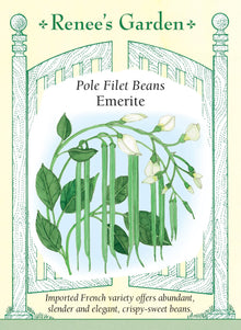 Visuel officiel de Renee's Garden pour les semences « Haricot grimpant ‘Emerite’ », référence RN5933. Cette variété française de type filet donne des gousses minces et arrondies, longues d’environ 18 à 23 cm (7 à 9 po). Les tiges grimpantes sont vigoureuses. Les haricots offrent une texture croquante et une saveur douce, adaptées à une cuisson courte à la vapeur ou à la poêle. Une récolte attentive permet de choisir des gousses encore fines, avant que les grains ne deviennent proéminents.