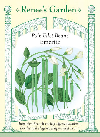 Visuel officiel de Renee's Garden pour les semences « Haricot grimpant ‘Emerite’ », référence RN5933. Cette variété française de type filet donne des gousses minces et arrondies, longues d’environ 18 à 23 cm (7 à 9 po). Les tiges grimpantes sont vigoureuses. Les haricots offrent une texture croquante et une saveur douce, adaptées à une cuisson courte à la vapeur ou à la poêle. Une récolte attentive permet de choisir des gousses encore fines, avant que les grains ne deviennent proéminents.