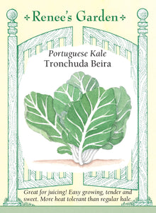 Visuel officiel de Renee's Garden pour les semences « Chou portugais ‘Tronchuda Beira’ », référence RN5938. Ce chou portugais forme des plants de 30 à 46 cm (12 à 18 po), portant de larges feuilles bleu-vert en forme de palette. Le semencier souligne leur texture tendre et leur saveur douce. Les feuilles peuvent être récoltées progressivement. Cette sélection se distingue des choux frisés aux feuilles très découpées par un limbe plus large et une silhouette plus ouverte.
