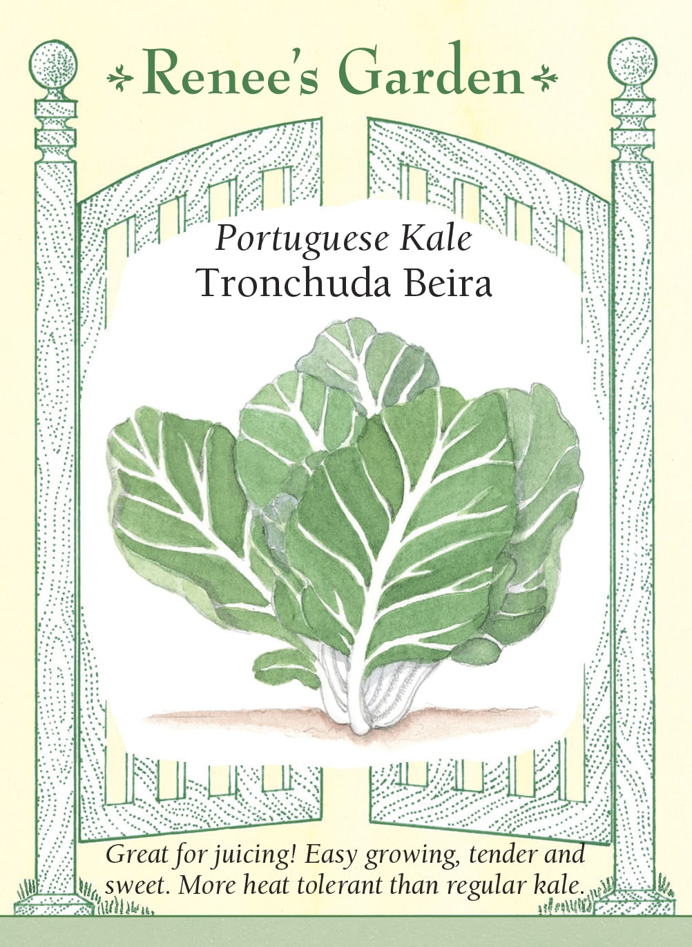 Visuel officiel de Renee's Garden pour les semences « Chou portugais ‘Tronchuda Beira’ », référence RN5938. Ce chou portugais forme des plants de 30 à 46 cm (12 à 18 po), portant de larges feuilles bleu-vert en forme de palette. Le semencier souligne leur texture tendre et leur saveur douce. Les feuilles peuvent être récoltées progressivement. Cette sélection se distingue des choux frisés aux feuilles très découpées par un limbe plus large et une silhouette plus ouverte.