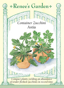 Visuel officiel de Renee's Garden pour les semences « Courgette ‘Astia’ », référence RN5943. Cette courgette française buissonnante est sélectionnée pour les contenants et les petits jardins. Ses grandes feuilles vert argenté sont profondément découpées. Les fruits verts, lisses et lustrés apparaissent près de la base du plant, où ils sont faciles à repérer. Le semencier décrit une variété précoce et productive.