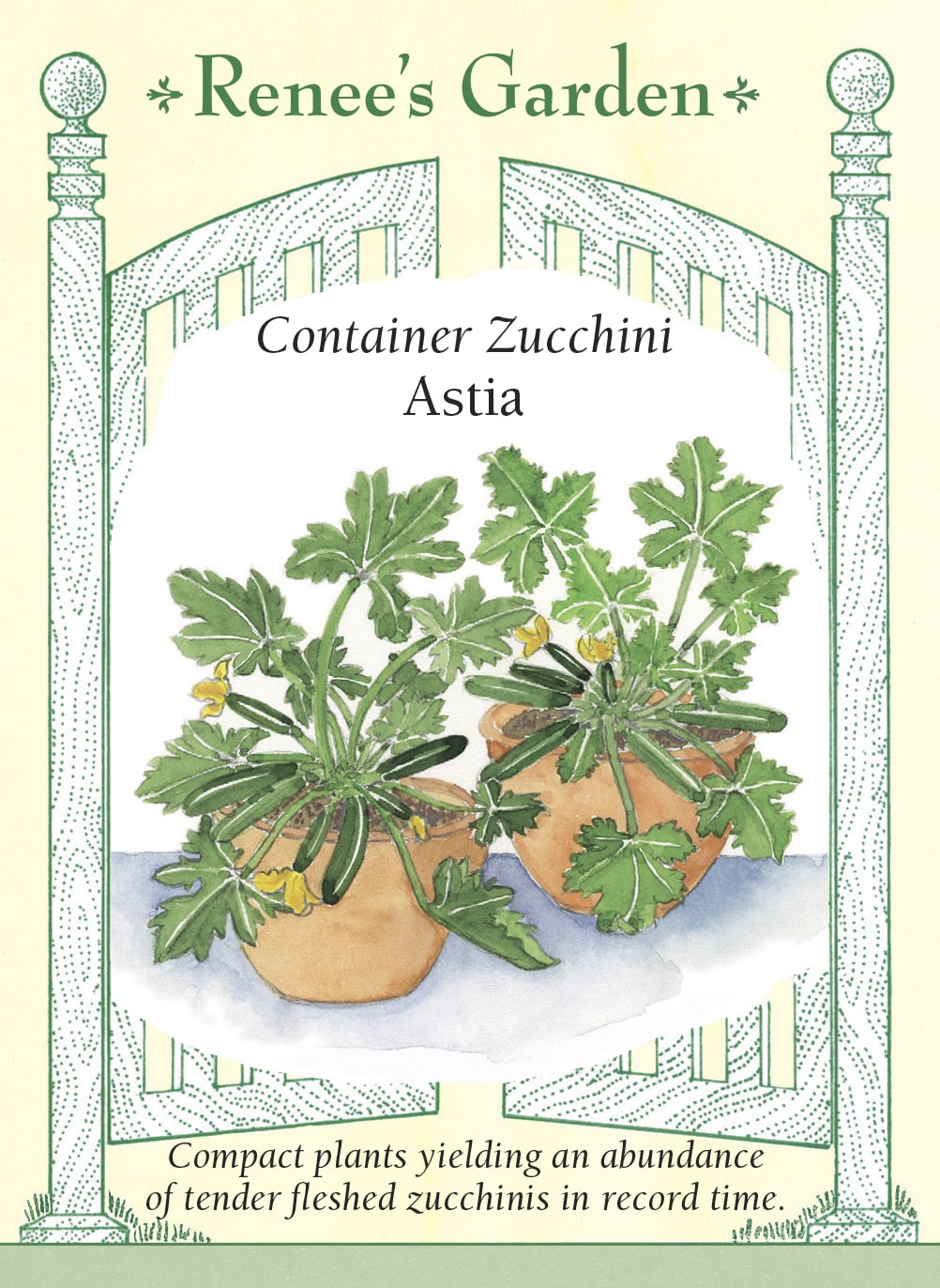 Visuel officiel de Renee's Garden pour les semences « Courgette ‘Astia’ », référence RN5943. Cette courgette française buissonnante est sélectionnée pour les contenants et les petits jardins. Ses grandes feuilles vert argenté sont profondément découpées. Les fruits verts, lisses et lustrés apparaissent près de la base du plant, où ils sont faciles à repérer. Le semencier décrit une variété précoce et productive.