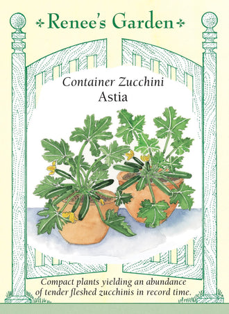 Visuel officiel de Renee's Garden pour les semences « Courgette ‘Astia’ », référence RN5943. Cette courgette française buissonnante est sélectionnée pour les contenants et les petits jardins. Ses grandes feuilles vert argenté sont profondément découpées. Les fruits verts, lisses et lustrés apparaissent près de la base du plant, où ils sont faciles à repérer. Le semencier décrit une variété précoce et productive.
