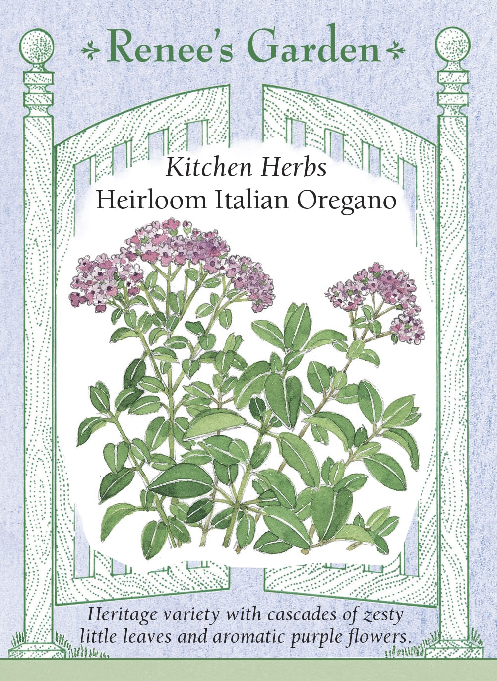 Visuel officiel de Renee's Garden associé aux semences d’origan italien, référence RN5945. Cet origan développe de petites feuilles aromatiques sur des tiges retombantes. Le semencier décrit une saveur plus douce que celle de l’origan grec. Les fleurs pourpres apparaissent sur des plants établis. Les tiges feuillées peuvent être récoltées fraîches ou séchées pour les sauces, les pizzas et les préparations de légumes.
