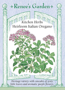 Visuel officiel de Renee's Garden associé aux semences d’origan italien, référence RN5945. Cet origan développe de petites feuilles aromatiques sur des tiges retombantes. Le semencier décrit une saveur plus douce que celle de l’origan grec. Les fleurs pourpres apparaissent sur des plants établis. Les tiges feuillées peuvent être récoltées fraîches ou séchées pour les sauces, les pizzas et les préparations de légumes.