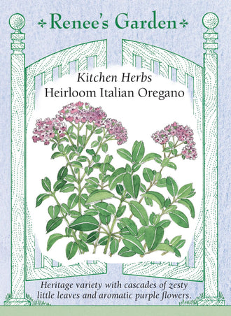 Visuel officiel de Renee's Garden associé aux semences d’origan italien, référence RN5945. Cet origan développe de petites feuilles aromatiques sur des tiges retombantes. Le semencier décrit une saveur plus douce que celle de l’origan grec. Les fleurs pourpres apparaissent sur des plants établis. Les tiges feuillées peuvent être récoltées fraîches ou séchées pour les sauces, les pizzas et les préparations de légumes.