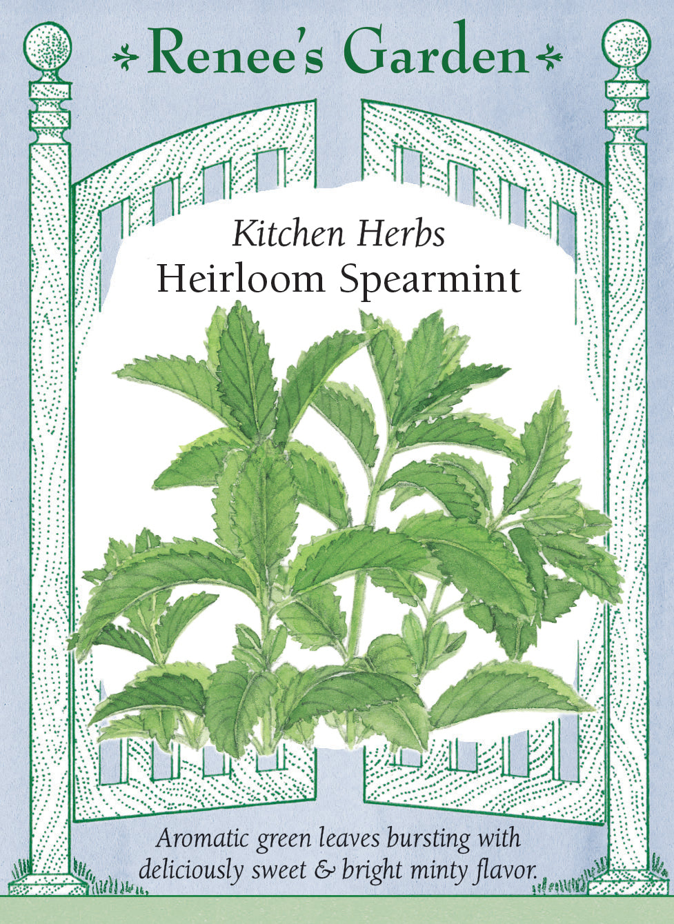 Visuel officiel de Renee's Garden associé aux semences de Menthe verte, référence RN5946. Cette menthe porte des feuilles vert vif, dentées et fortement aromatiques. Le semencier la propose pour les salades, les boissons et les plats cuisinés. Son développement peut être rapide en pleine terre. La culture en contenant facilite le contrôle de l’expansion et garde les tiges feuillées à portée de main.
