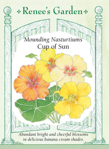 Visuel officiel de Renee's Garden associé aux semences de Capucines en mélange Cup of Sun, référence RN5947. Les fleurs réunissent des tons jaune citron, dorés nuancés d’orange et jaune pastel devenant crème. Le feuillage arrondi retombe souplement autour de la plante. Ce mélange permet de composer des bordures lumineuses et de garnir les contenants de terrasse.