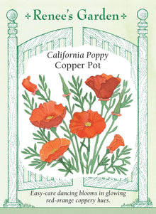 Visuel officiel de Renee's Garden associé aux semences de Pavot de Californie ‘Copper Pot’, référence RN5948. Les fleurs satinées présentent une coloration rouge cuivré, particulièrement lumineuse au soleil. Elles dominent des touffes de feuillage gris-vert finement découpé. La plante peut se ressemer lorsque ses capsules mûrissent, ce qui prolonge sa présence au jardin.