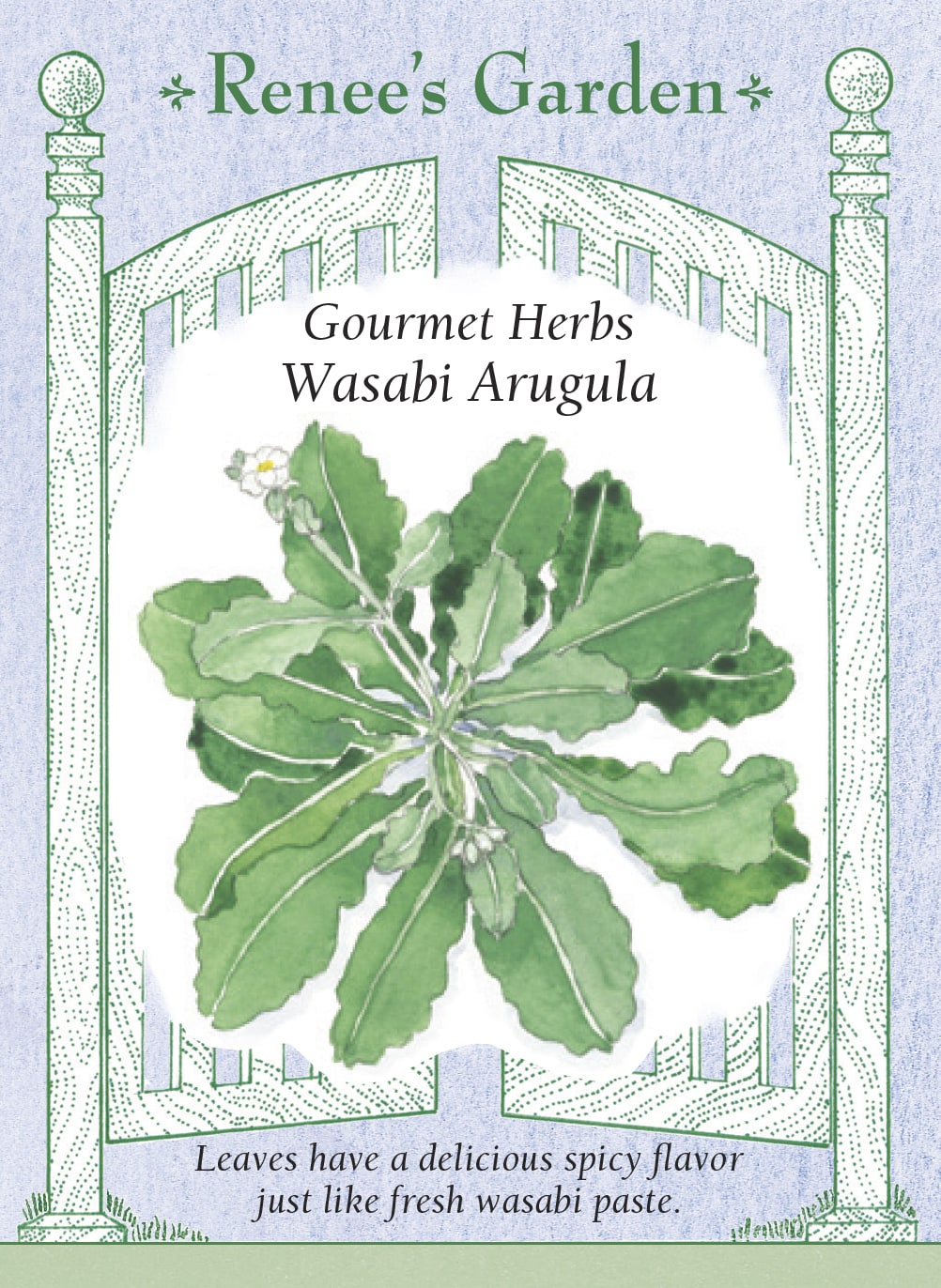 Visuel officiel de Renee's Garden pour les semences « Roquette wasabi », référence RN5953. Cette roquette appartient à Diplotaxis erucoides. Le semencier décrit une saveur piquante rappelant le wasabi, sur des plants formant des rosettes feuillées. Les feuilles peuvent être prélevées séparément ou le plant récolté entier. Les petites fleurs blanches sont également proposées comme garniture comestible. Il ne s’agit pas du véritable wasabi.