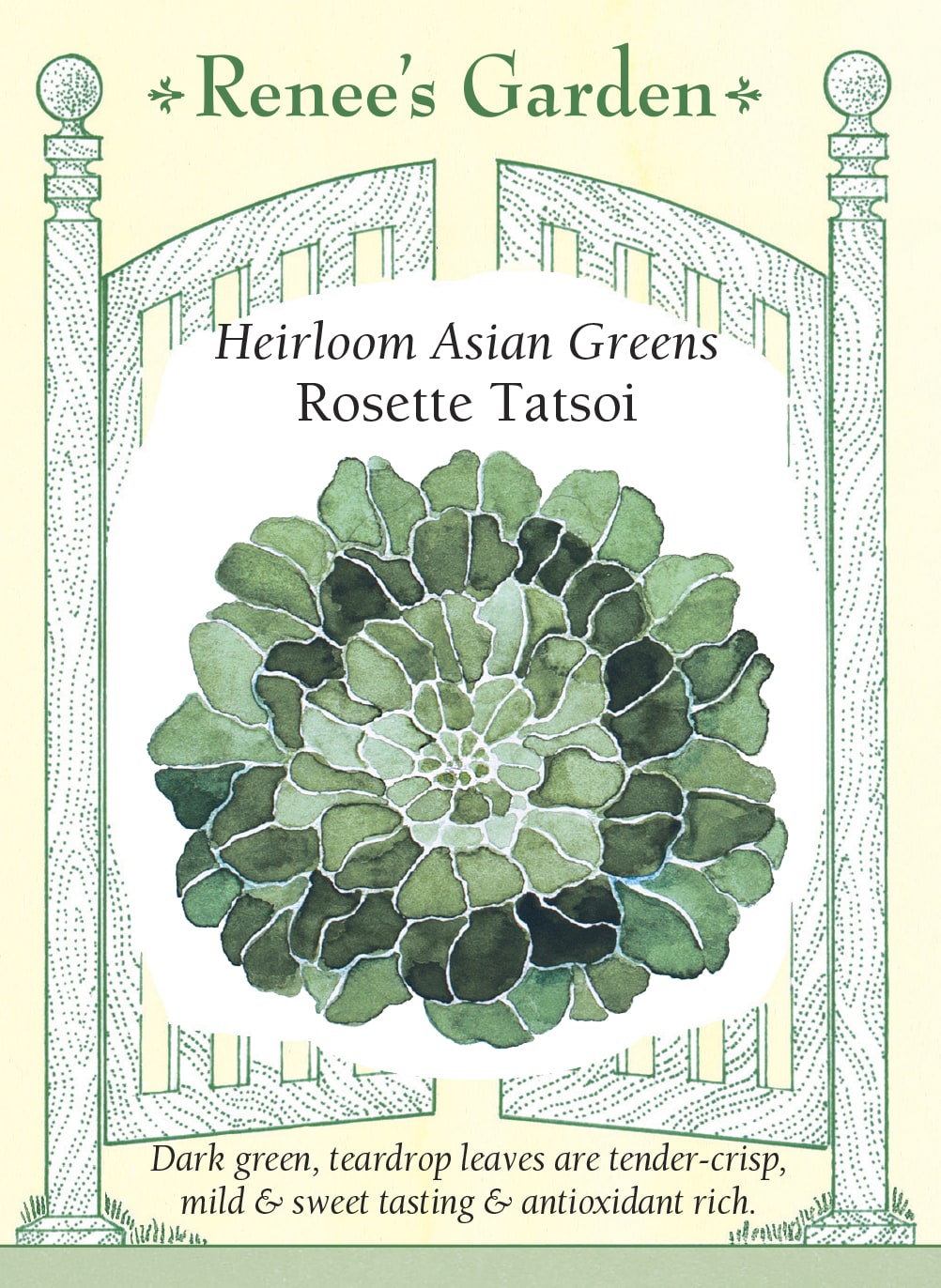 Visuel officiel de Renee's Garden pour les semences « Tatsoï en rosette », référence RN5955. Cette verdure asiatique forme des rosettes plates de feuilles vert foncé en forme de goutte. Les plants adultes peuvent atteindre environ 30 cm (12 po) de diamètre, selon le semencier. Les feuilles sont tendres, charnues et douces. Leur port très bas distingue cette sélection des légumes-feuilles à développement dressé.