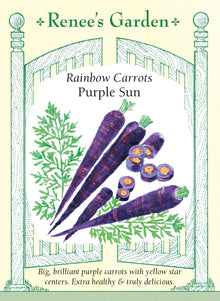 Visuel officiel de Renee's Garden pour les semences « Carotte ‘Purple Sun’ », référence RN5957. Cette carotte se distingue par une racine pourpre foncé dont le centre présente une petite zone jaune. La forme est conique : les épaules sont arrondies et la racine s’amincit vers une pointe. Le semencier décrit une croissance vigoureuse, une texture croquante et une saveur douce. La couleur permet de diversifier les récoltes destinées aux crudités comme aux plats cuits.