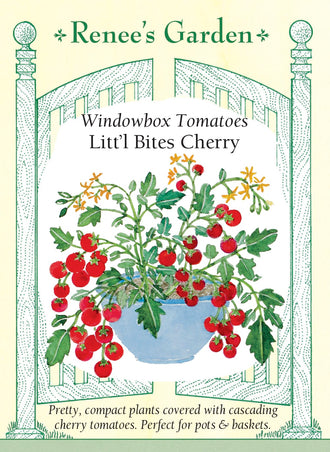 Visuel officiel de Renee's Garden pour les semences « Tomate cerise ‘Litt’l Bites’ », référence RN5958. Cette tomate compacte forme une masse de feuillage d’environ 50 cm (20 po) de largeur et 30 cm (12 po) de hauteur. Des grappes retombantes portent de petits fruits doux. Le semencier la recommande pour les paniers suspendus et les contenants. Son port doit être distingué de celui des grandes tomates grimpantes.