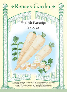 Visuel officiel de Renee's Garden pour les semences « Panais ‘Savour’ », référence RN5959. Ce panais développe de longues racines blanches, d’environ 25 à 30 cm (10 à 12 po), à peau lisse. Le semencier décrit une saveur douce et terreuse ainsi qu’une bonne tenue en terre avant la récolte. Les racines se prêtent aux soupes, aux légumes sautés et à la cuisson au four.
