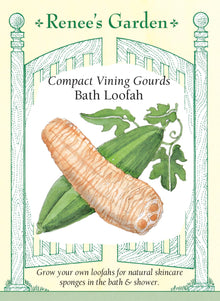 Visuel officiel de Renee's Garden pour les semences « Luffa éponge », référence RN5960. Cette plante grimpante produit des fruits allongés dont l’intérieur devient fibreux à maturité. Une fois les fruits complètement mûrs et secs, leur enveloppe peut être retirée pour dégager la structure utilisée comme éponge végétale. Les tiges peuvent courir sur un treillis ou une clôture. La récolte recherchée ici est une matière fibreuse, et non un concombre frais.