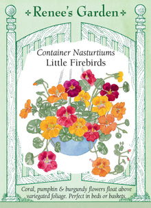 Visuel officiel de Renee's Garden associé aux semences de Capucines retombantes en mélange Little Firebirds, référence RN5963. Les fleurs bordeaux, orangées et corail contrastent avec un feuillage arrondi panaché. Le port retombant convient particulièrement aux paniers suspendus et aux jardinières. Les fleurs comestibles apportent une saveur rappelant le cresson aux salades et aux garnitures.