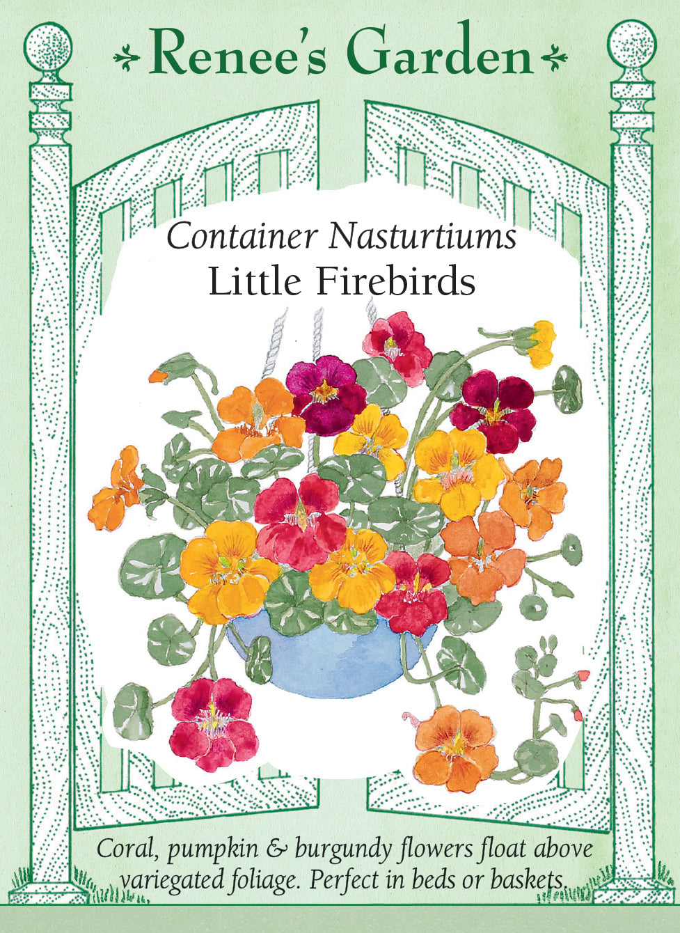 Visuel officiel de Renee's Garden associé aux semences de Capucines retombantes en mélange Little Firebirds, référence RN5963. Les fleurs bordeaux, orangées et corail contrastent avec un feuillage arrondi panaché. Le port retombant convient particulièrement aux paniers suspendus et aux jardinières. Les fleurs comestibles apportent une saveur rappelant le cresson aux salades et aux garnitures.