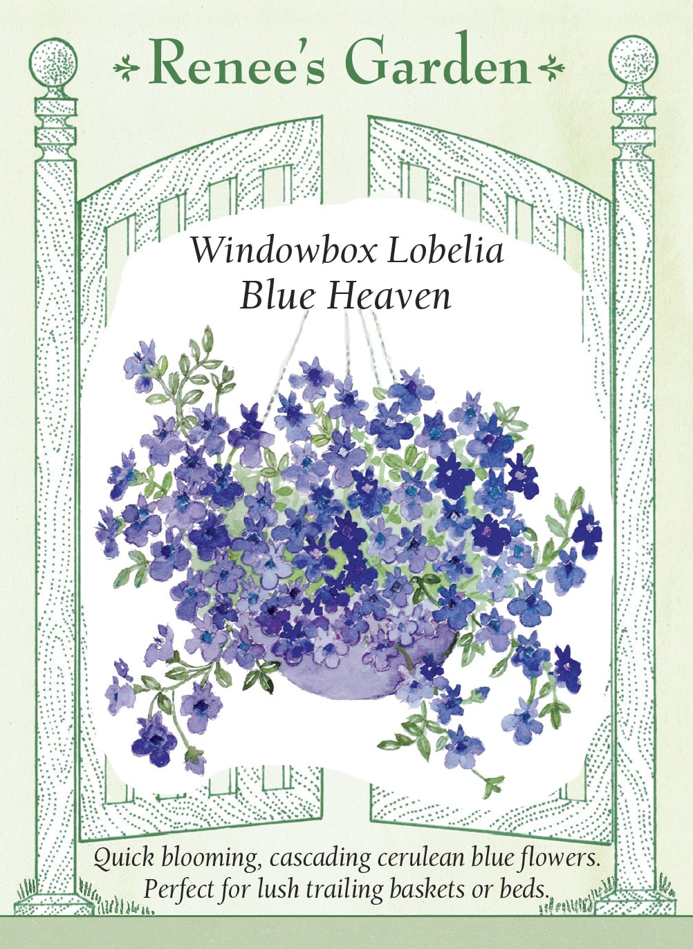 Visuel officiel de Renee's Garden associé aux semences de Lobélie ‘Blue Heaven’, référence RN5964. Cette lobélie retombante produit de nombreuses petites fleurs bleues d’environ 2 cm (3/4 po). Le semencier la propose pour les paniers suspendus, les jardinières et les bordures. Les tiges peuvent déborder des contenants. Une exposition ensoleillée convient aussi lorsque les étés ne sont pas trop chauds.