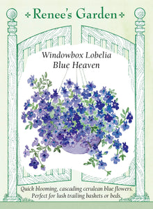 Visuel officiel de Renee's Garden associé aux semences de Lobélie ‘Blue Heaven’, référence RN5964. Cette lobélie retombante produit de nombreuses petites fleurs bleues d’environ 2 cm (3/4 po). Le semencier la propose pour les paniers suspendus, les jardinières et les bordures. Les tiges peuvent déborder des contenants. Une exposition ensoleillée convient aussi lorsque les étés ne sont pas trop chauds.