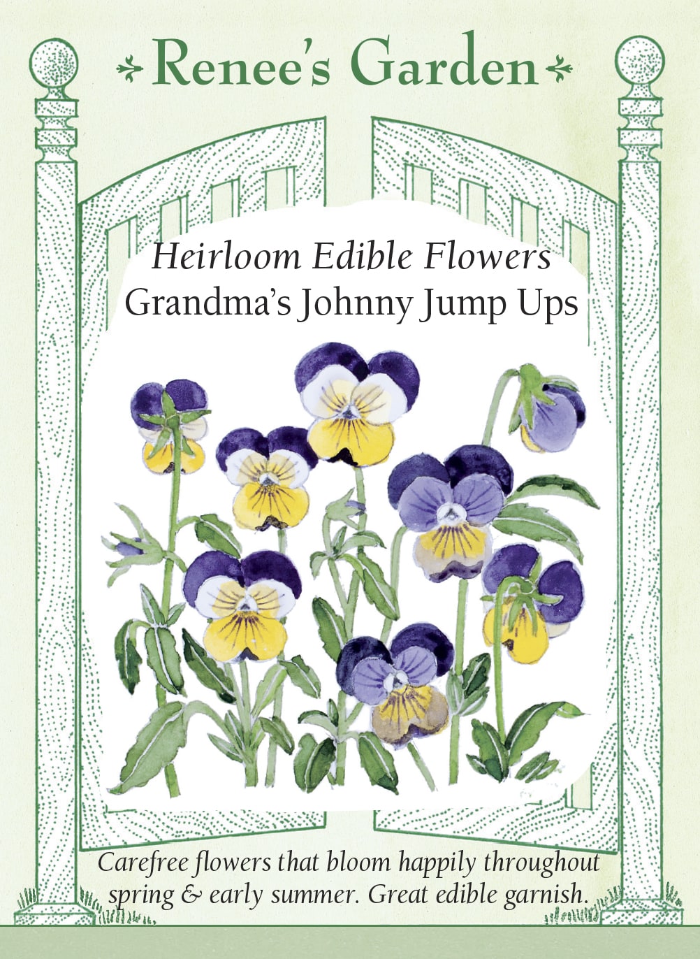 Visuel officiel de Renee's Garden associé aux semences de Pensées tricolores en mélange Grandma’s Johnny Jump Ups, référence RN5967. Les petites fleurs associent le violet, le mauve, le jaune et le blanc. Les plantes conviennent aux bordures et aux contenants et peuvent se ressemer. Les fleurs sont comestibles et peuvent décorer les plats.
