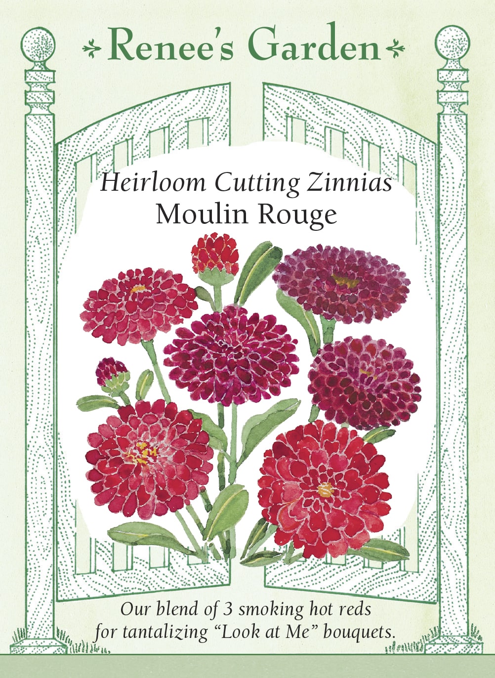 Visuel officiel de Renee's Garden associé aux semences de Zinnias en mélange Moulin Rouge, référence RN5968. Ce mélange associe des fleurs doubles écarlates, cramoisies et rouge foncé. Les plantes ramifiées atteignent environ 90 à 105 cm (3 à 3½ pi). Les longues tiges conviennent aux bouquets et les fleurs attirent les pollinisateurs.