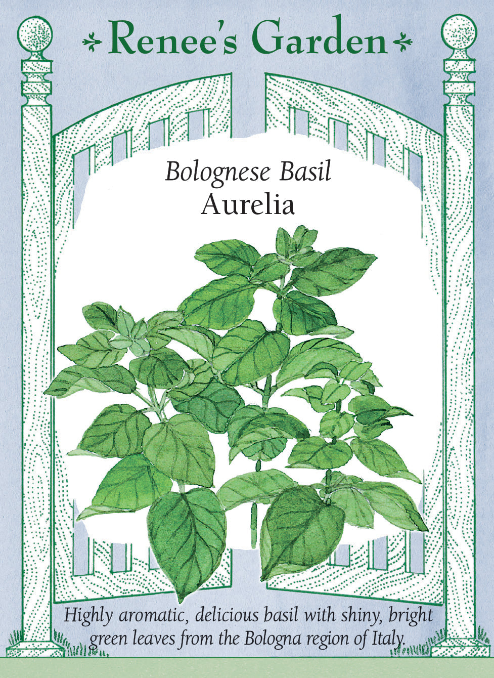 Visuel officiel de Renee's Garden pour les semences « Basilic ‘Aurelia’ », référence RN5969. Cette sélection de basilic doux développe de grandes feuilles vertes et brillantes sur des plants qui se ramifient tôt. Le semencier décrit un parfum riche et épicé. Les feuilles conviennent aux pestos et aux plats de légumes, de riz ou de pâtes. La sélection provient d’un producteur de la région de Bologne.