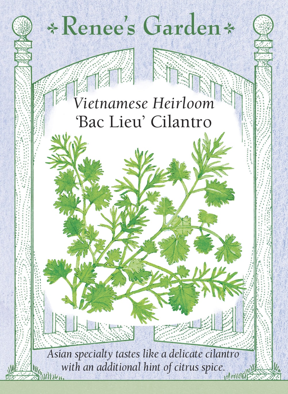 Visuel officiel de Renee's Garden associé aux semences de Coriandre ‘Bac Lieu’, référence RN5970. Cette sélection vietnamienne appartient bien à Coriandrum sativum. Le semencier décrit un arôme doux avec une nuance citronnée et des feuilles finement découpées au sommet du plant. Les jeunes tiges feuillées peuvent accompagner les repas comme garniture fraîche. Il ne faut pas la confondre avec d’autres plantes portant le nom courant de coriandre vietnamienne.