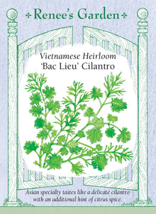 Visuel officiel de Renee's Garden associé aux semences de Coriandre ‘Bac Lieu’, référence RN5970. Cette sélection vietnamienne appartient bien à Coriandrum sativum. Le semencier décrit un arôme doux avec une nuance citronnée et des feuilles finement découpées au sommet du plant. Les jeunes tiges feuillées peuvent accompagner les repas comme garniture fraîche. Il ne faut pas la confondre avec d’autres plantes portant le nom courant de coriandre vietnamienne.