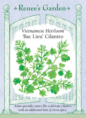Visuel officiel de Renee's Garden associé aux semences de Coriandre ‘Bac Lieu’, référence RN5970. Cette sélection vietnamienne appartient bien à Coriandrum sativum. Le semencier décrit un arôme doux avec une nuance citronnée et des feuilles finement découpées au sommet du plant. Les jeunes tiges feuillées peuvent accompagner les repas comme garniture fraîche. Il ne faut pas la confondre avec d’autres plantes portant le nom courant de coriandre vietnamienne.