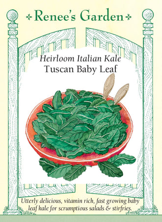 Visuel officiel de Renee's Garden pour les semences « Chou toscan pour jeunes feuilles Tuscan Baby Leaf », référence RN5971. Cette sélection de chou toscan est destinée à être coupée jeune. Le semencier propose une récolte lorsque les feuilles atteignent environ 10 à 13 cm (4 à 5 po), en laissant le cœur intact pour favoriser la repousse. Les jeunes feuilles présentent une texture plus tendre et une saveur plus douce que celles d’un chou pleinement développé.