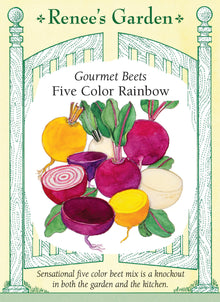 Visuel officiel de Renee's Garden pour les semences « Betteraves en mélange Five Color Rainbow », référence RN5973. Ce mélange réunit à parts égales ‘Subeto’, ‘Boldor’, ‘Chioggia’, ‘Albina Verduna’ et ‘Bull’s Blood Scarletta’. Les racines offrent plusieurs couleurs, dont le rouge foncé, le jaune, le blanc et des motifs annelés. Les tiges et le feuillage apportent aussi des contrastes dans la planche. Les betteraves peuvent être récoltées petites ou laissées en terre pour atteindre un calibre plus important.