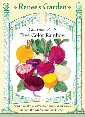 Visuel officiel de Renee's Garden pour les semences « Betteraves en mélange Five Color Rainbow », référence RN5973. Ce mélange réunit à parts égales ‘Subeto’, ‘Boldor’, ‘Chioggia’, ‘Albina Verduna’ et ‘Bull’s Blood Scarletta’. Les racines offrent plusieurs couleurs, dont le rouge foncé, le jaune, le blanc et des motifs annelés. Les tiges et le feuillage apportent aussi des contrastes dans la planche. Les betteraves peuvent être récoltées petites ou laissées en terre pour atteindre un calibre plus important.