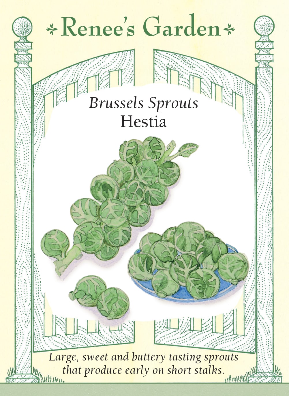 Visuel officiel de Renee's Garden pour les semences « Chou de Bruxelles ‘Hestia’ », référence RN5974. ‘Hestia’ porte de nombreux petits choux fermes, croquants et vert vif le long de la tige. Le semencier décrit une bonne tenue face à l’éclatement et à la pourriture, sans que cela dispense d’une surveillance au jardin. Les plants supportent les premières gelées légères, ce qui peut prolonger la période de récolte lorsque les conditions locales le permettent.