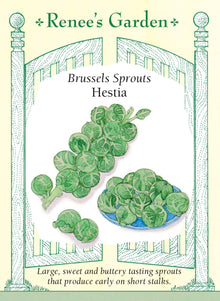 Visuel officiel de Renee's Garden pour les semences « Chou de Bruxelles ‘Hestia’ », référence RN5974. ‘Hestia’ porte de nombreux petits choux fermes, croquants et vert vif le long de la tige. Le semencier décrit une bonne tenue face à l’éclatement et à la pourriture, sans que cela dispense d’une surveillance au jardin. Les plants supportent les premières gelées légères, ce qui peut prolonger la période de récolte lorsque les conditions locales le permettent.