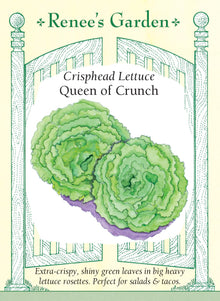 Visuel officiel de Renee's Garden pour les semences « Laitue ‘Queen of Crunch’ », référence RN5976. Cette laitue verte forme des rosettes lourdes dont les feuilles sont particulièrement croquantes et juteuses. Le semencier souligne une bonne tenue par temps chaud. Les feuilles peuvent être prélevées progressivement ou la rosette entière peut être récoltée. Leur texture convient aux salades hachées, aux sandwichs et aux garnitures qui demandent une feuille conservant une certaine tenue.