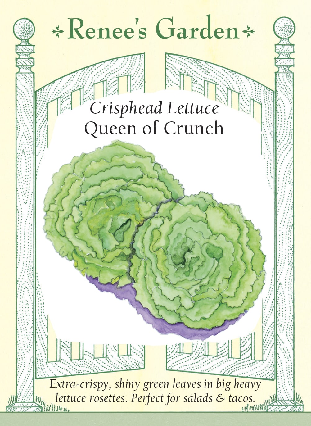 Visuel officiel de Renee's Garden pour les semences « Laitue ‘Queen of Crunch’ », référence RN5976. Cette laitue verte forme des rosettes lourdes dont les feuilles sont particulièrement croquantes et juteuses. Le semencier souligne une bonne tenue par temps chaud. Les feuilles peuvent être prélevées progressivement ou la rosette entière peut être récoltée. Leur texture convient aux salades hachées, aux sandwichs et aux garnitures qui demandent une feuille conservant une certaine tenue.