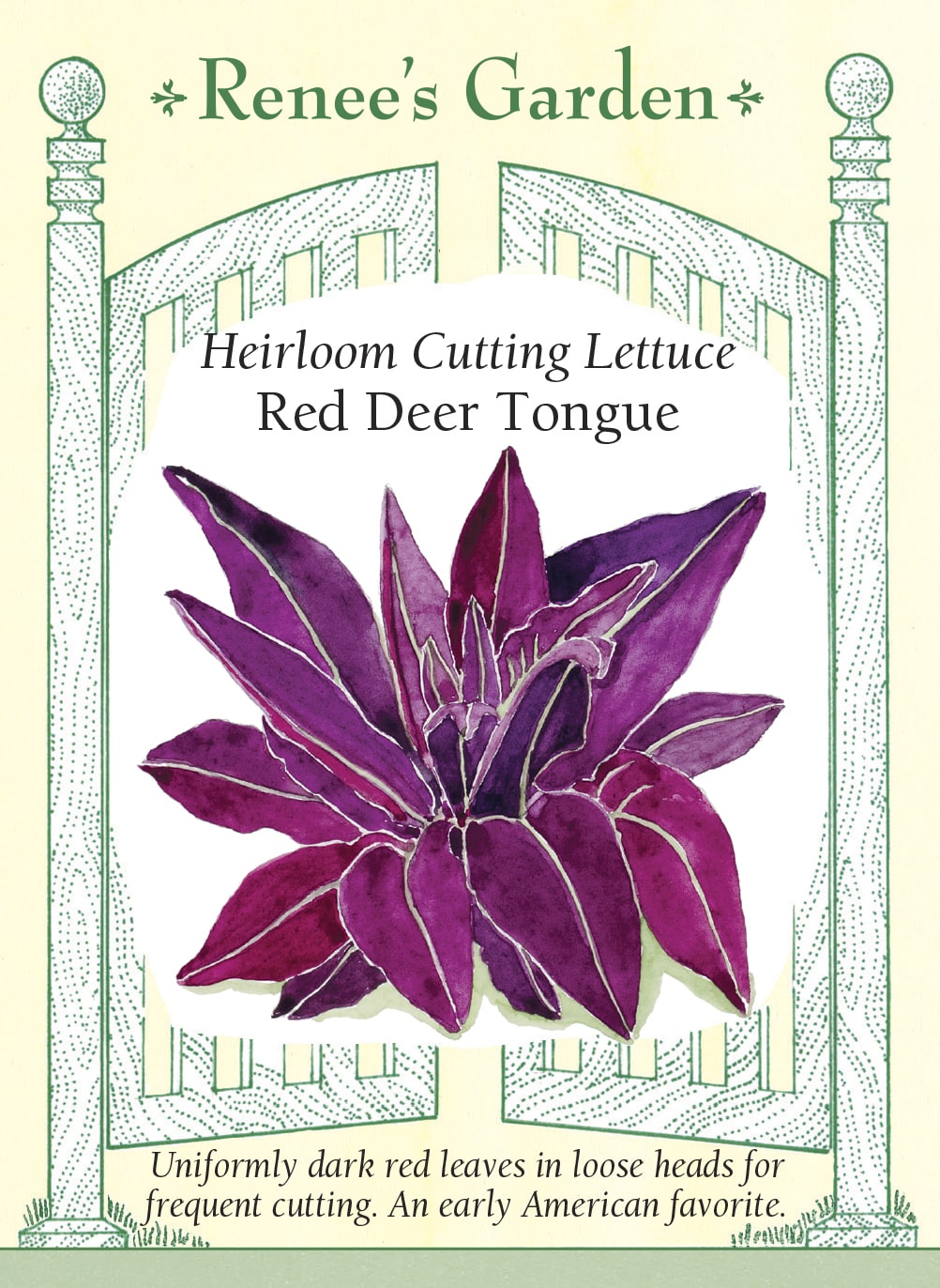 Visuel officiel de Renee's Garden pour les semences « Laitue ‘Red Deer Tongue’ », référence RN5977. Cette sélection porte de longues feuilles triangulaires et pointues qui forment des pommes lâches. Leur couleur rouge foncé et leur texture charnue sont mises en avant par le semencier. La sélection a été reprise pour améliorer l’uniformité de la couleur et la vigueur des plants. Les feuilles se prêtent aux salades composées.