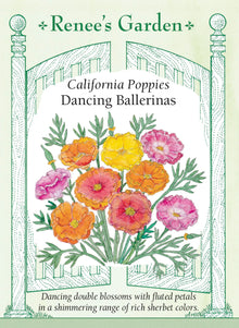 Visuel officiel de Renee's Garden associé aux semences de Pavots de Californie en mélange Dancing Ballerinas, référence RN5981. Les fleurs doubles et semi-doubles présentent des pétales délicatement plissés. Le mélange comprend des teintes rose soutenu, lilas, rouges, orange, jaunes et blanches. Les tiges fines portent les fleurs au-dessus d’un feuillage gris-vert découpé.