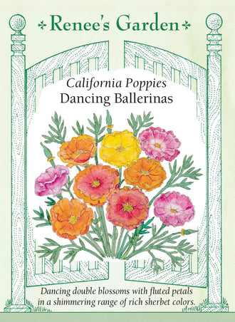 Visuel officiel de Renee's Garden associé aux semences de Pavots de Californie en mélange Dancing Ballerinas, référence RN5981. Les fleurs doubles et semi-doubles présentent des pétales délicatement plissés. Le mélange comprend des teintes rose soutenu, lilas, rouges, orange, jaunes et blanches. Les tiges fines portent les fleurs au-dessus d’un feuillage gris-vert découpé.