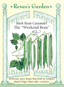 Visuel officiel de Renee's Garden pour les semences « Haricot nain ‘Castandel’ », référence RN5985. Cette sélection française porte des gousses qui conservent leur texture juteuse plus longtemps sur le plant avant de devenir fibreuses. Cette caractéristique explique son surnom commercial « Weekend Bean ». Les haricots offrent une saveur douce et se prêtent à la cuisine fraîche. Le semencier recommande cette variété pour les planches potagères, les petits jardins et les contenants installés sur une terrasse.