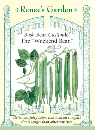 Visuel officiel de Renee's Garden pour les semences « Haricot nain ‘Castandel’ », référence RN5985. Cette sélection française porte des gousses qui conservent leur texture juteuse plus longtemps sur le plant avant de devenir fibreuses. Cette caractéristique explique son surnom commercial « Weekend Bean ». Les haricots offrent une saveur douce et se prêtent à la cuisine fraîche. Le semencier recommande cette variété pour les planches potagères, les petits jardins et les contenants installés sur une terrasse.