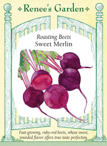 Visuel officiel de Renee's Garden pour les semences « Betterave ‘Merlin’ », référence RN5986. Cette betterave forme des racines rondes rouge rubis, décrites comme tendres et particulièrement sucrées par le semencier. Elles peuvent être récoltées petites ou laissées jusqu’à un calibre plus développé. La variété est notamment proposée pour la cuisson au four, qui met en valeur sa saveur. Les racines conviennent aussi aux salades de betteraves cuites et aux autres préparations de légumes-racines.