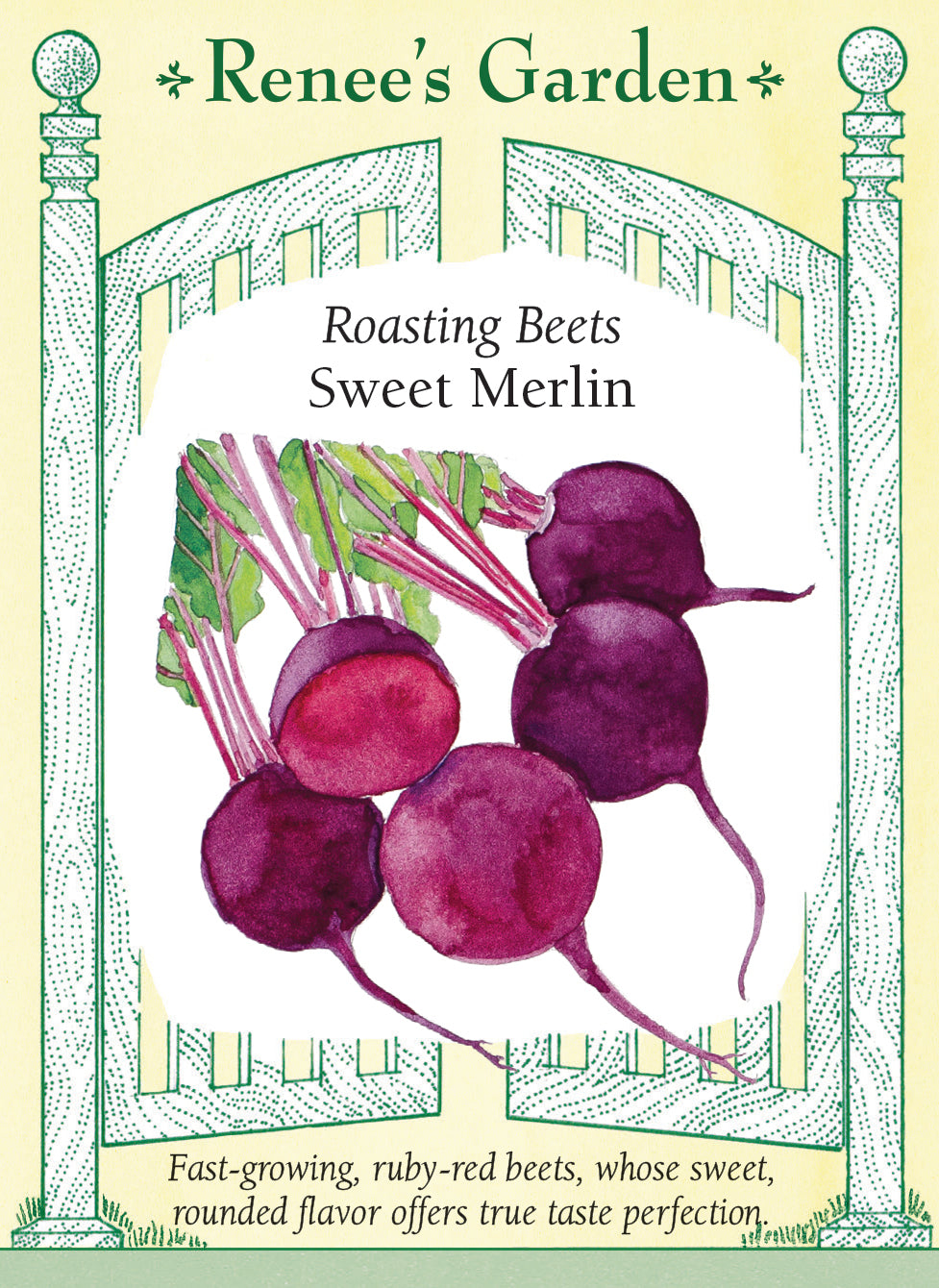 Visuel officiel de Renee's Garden pour les semences « Betterave ‘Merlin’ », référence RN5986. Cette betterave forme des racines rondes rouge rubis, décrites comme tendres et particulièrement sucrées par le semencier. Elles peuvent être récoltées petites ou laissées jusqu’à un calibre plus développé. La variété est notamment proposée pour la cuisson au four, qui met en valeur sa saveur. Les racines conviennent aussi aux salades de betteraves cuites et aux autres préparations de légumes-racines.