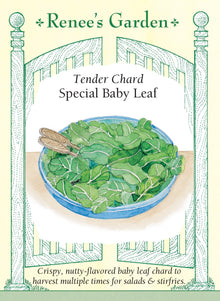Visuel officiel de Renee's Garden pour les semences « Bette à carde pour jeunes feuilles Special Baby Leaf », référence RN5988. Cette sélection est destinée à une récolte de jeunes feuilles vertes. Le semencier propose de couper le feuillage lorsqu’il mesure environ 10 à 13 cm (4 à 5 po), en préservant le cœur pour permettre la repousse. La texture tendre et la saveur douce conviennent aux salades après lavage, ainsi qu’aux préparations rapidement sautées ou cuites à la vapeur.