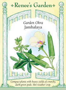Visuel officiel de Renee's Garden pour les semences « Gombo ‘Jambalaya’ », référence RN5990. Ce gombo compact est décrit comme précoce et vigoureux lorsque la chaleur s’installe. Les fleurs décoratives sont suivies de gousses vertes régulières. Le semencier recommande de cueillir les gousses jeunes pour conserver leur tendreté. Elles se prêtent aux sautés, aux plats mijotés et aux autres préparations cuites adaptées au gombo.