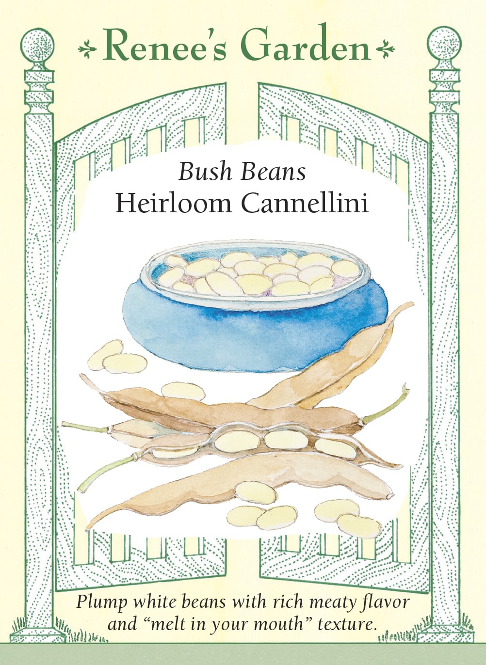 Visuel officiel de Renee's Garden pour les semences « Haricot nain ‘Cannellini’ », référence RN5999. Cette variété produit des haricots secs blancs, renflés et faciles à écosser. Leur texture devient crémeuse après une cuisson complète, ce qui convient aux minestrones, aux mijotés et aux plats de légumineuses. Le semencier décrit des plants vigoureux portant de nombreuses gousses.