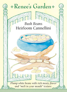 Visuel officiel de Renee's Garden pour les semences « Haricot nain ‘Cannellini’ », référence RN5999. Cette variété produit des haricots secs blancs, renflés et faciles à écosser. Leur texture devient crémeuse après une cuisson complète, ce qui convient aux minestrones, aux mijotés et aux plats de légumineuses. Le semencier décrit des plants vigoureux portant de nombreuses gousses.