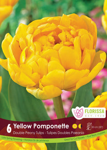Tulipe Yellow Pomponette ( Tulipa ) : une tulipe double jaune vif aux nombreux pétales arrondis. Le visuel Florissa présente la plante et son nom dans la partie inférieure de l’étiquette. La photographie occupe presque toute la surface, tandis que le bandeau du bas rassemble les indications du produit. Cette vue permet de reconnaître son apparence et de distinguer la variété présentée.