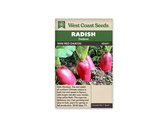 Sachet West Coast Seeds Mini Red montrant trois radis rouges dans la terre. Les racines allongées dépassent en partie du sol, avec leurs tiges et leurs feuilles vertes au-dessus. De petites plantes poussent près des racines. Le nom Mini Red est inscrit sur le bandeau brun placé sous le titre Radish Daikon.